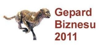 Gepardy Biznesu 2011